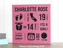 Birth Announcement Wall Decor Sign, Personalized Baby Stats Room Sign, Nursery Decor, Newborn Gift, Baby Girl, Baby Boy